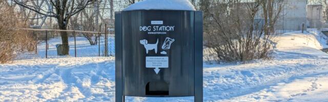 Тайна исчезновения пакетов с нарвских дог-станций — есть варианты