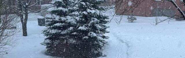 Зима сплотила соседей