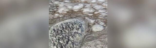 ВИДЕО | Жители Ленинградской области считают, что пляж загрязнен нефтью. Власти утверждают: утечки в Усть-Луге нет