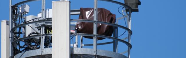 Глава МВД в Нарве: на границе хотят поставить систему, которая сможет не только видеть дроны, но и реагировать на них