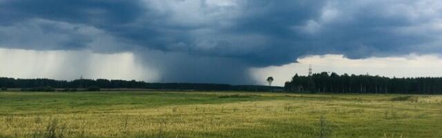 У фермеров Юго-Восточной Эстонии из-за интенсивных осадков возникли проблемы