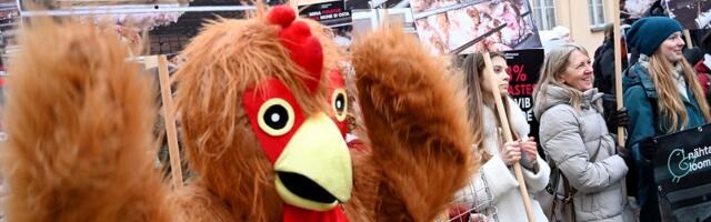 «Свободу курам!» — у Дома Стенбока поддержали запрет на содержание кур в клетках