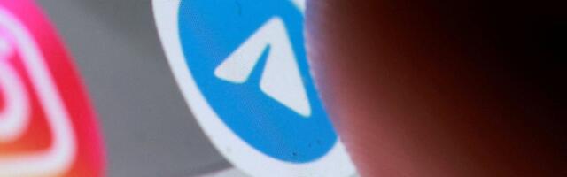 „Вы что делаете, идиоты?“ Лидер российской партии выступил против ограничений, введенных против телеграма