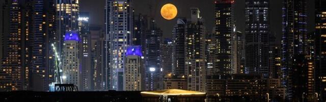 ОПЕК: к 2050 году спрос на нефть вырастет на 19%