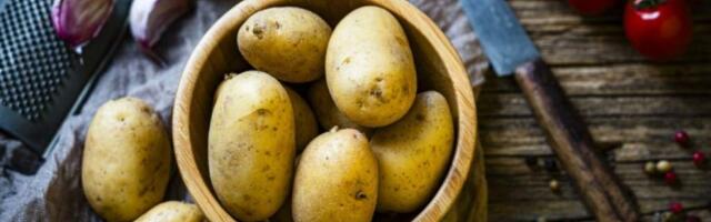 Можно ли есть сырую картошку: польза и вред для здоровья