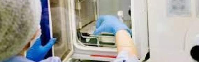 До принятия нового закона вспомогательное оплодотворение будет проходить в старом порядке