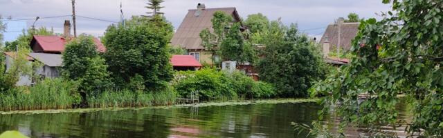 «Вас топит или не топит?»: после прошлогоднего наводнения покупатели дач под Нарвой стали осторожнее