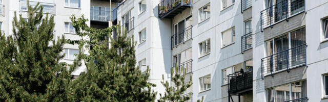 Таллинн хочет выторговать более выгодные для себя условия договора аренды домов на Раадику