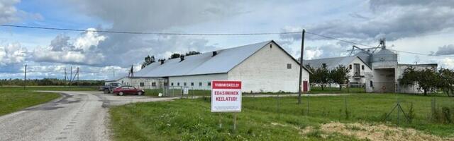 Хейнам: захоронение свиней не исключено, экологические риски минимальны