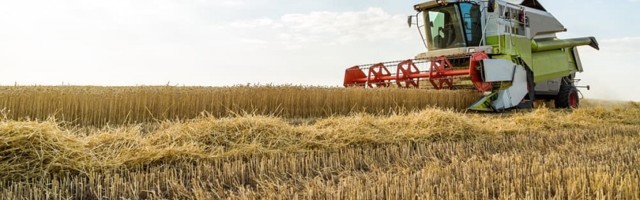 Аграрных хозяйств в Эстонии за 10 лет стало меньше, но производство существенно не сократилось