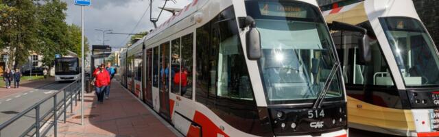 Отказ от трамвая на улице Лийвалайя может оставить Таллинн и без ветки в Пельгуранна