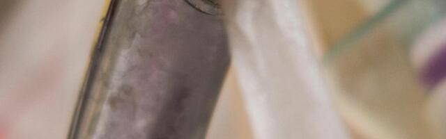 Экс-премьера Казахстана задержали по подозрению в госизмене