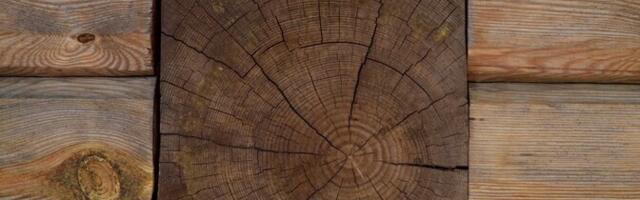 На Пальяссаареской станции по приему отходов откроется мастерская по ремонту деревянных изделий