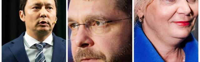 Сольман: Центристы лучше всех умеют работать с русским избирателем