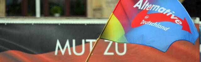 Патриотизм и русский язык: проект предвыборной программы «Альтернативы для Германии»