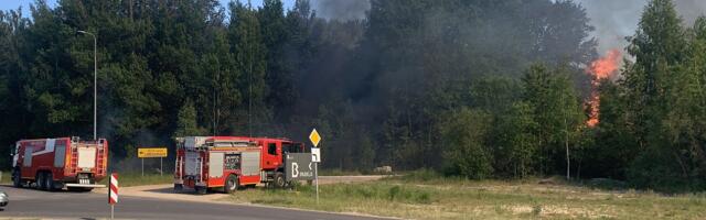 Пожар в Раади