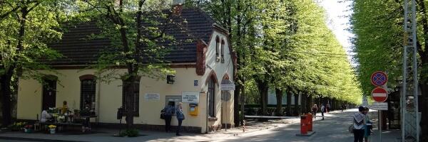 Услуги больницы Страдыня подорожали