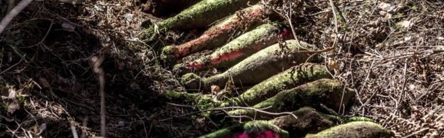 Разминировано более 100 взрывных устройств из Нарва-Йыэсуу