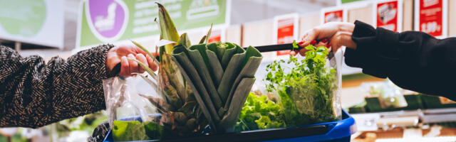 В Lidl-е появились долгожданные корзины для покупок