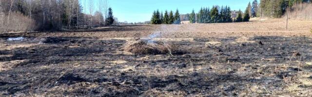 ФОТО И ВИДЕО | За выходные в Эстонии произошло более 30 пожаров, вызванных сжиганием сухой травы: пострадал спасатель
