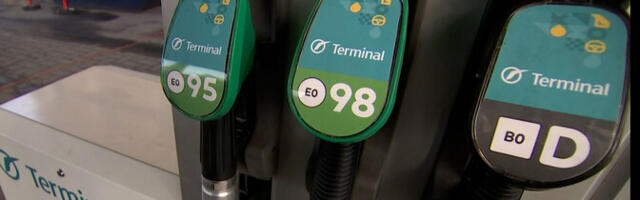 Оппозиция поддерживает решение не повышать акцизы, но призывает действовать решительнее