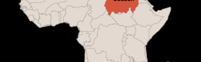 ВОЗ: в Судане при атаке на больницу погибли не менее 64 человек