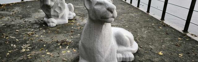 Восемь нарвских львов вернулись на набережную после реставрации