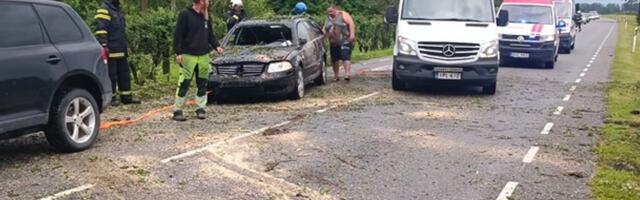 ВИДЕО | Дерево упало на легковой автомобиль, два человека пострадали 