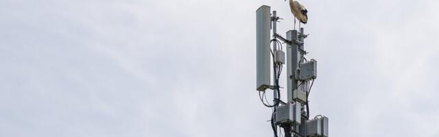 На автомагистрали Via Baltica появится непрерывная связь 5G от Таллинна до польской границы