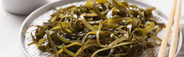 Морская капуста: польза и вред для организма мужчин, женщин, противопоказания