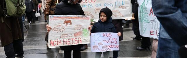 ФОТО | В Таллинне проходит масштабная акция в защиту лесов