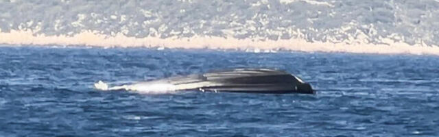 Состояние пограничников, пострадавших в Греции в результате аварии с катером, стабильное