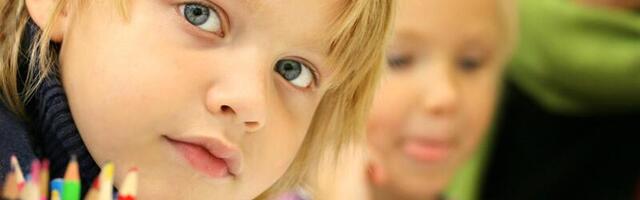 Канцлер права: Вечерняя смена для школьников – обычное дело