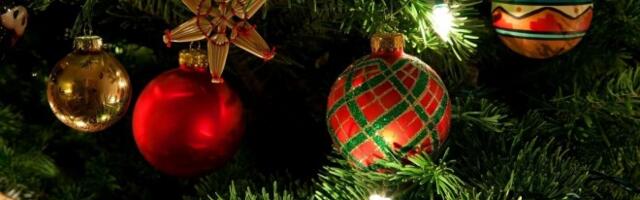 В Ласнамяэ расположено 15 пунктов сбора старых елок