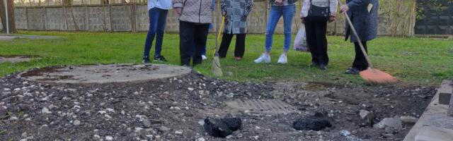 В борьбе нарвских КТ с крысами городские власти помочь не могут