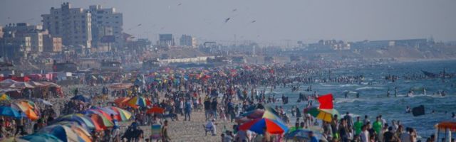 На пляжах Израиля появятся необычные спасатели