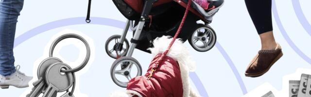 „Большинство мыслящих людей не хочет рожать детей, чтобы они жили в этом мире“: что думают читатели RusDelfi о низкой рождаемости? И при чем тут кошки и собаки?