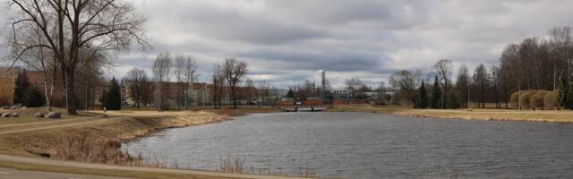 Младшему подозреваемому всего 15. В сети распространяется видео убийства: что известно о трагедии в Валга