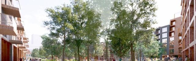 В Таллинне построят новый квартал у автовокзала — там будут парк, квартиры и кофейни