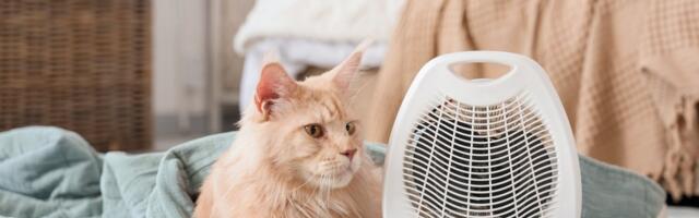 Как обычное действие едва не превратило многоквартирный дом в Таллинне в смертельную ловушку