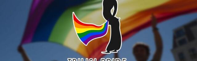 Терпение грузин лопнуло: народ разогнал Tbilisi Pride