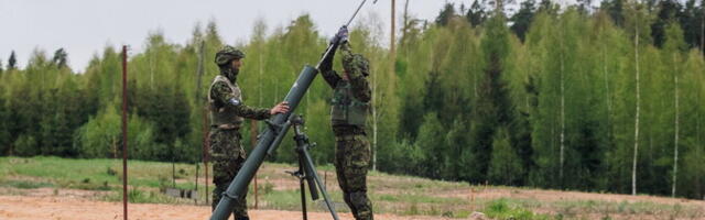 Суд приостановил расширенную вырубку леса в Нурсипалу