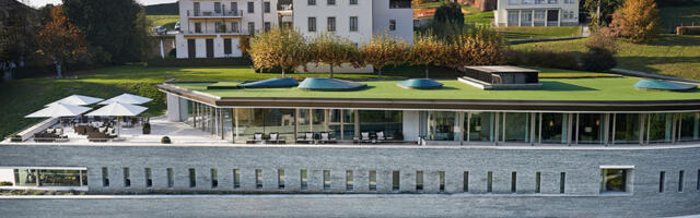 После пандемии у всех «туман в голове». В Швейцарии нашли способ его развеять