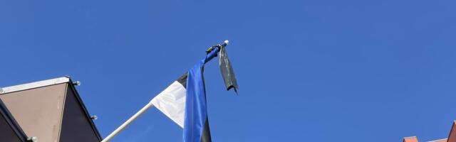 Maxima на выдумку хитра: вместо траурной ленты черный пластиковый пакет