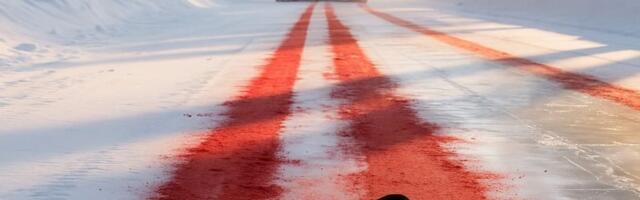 Правда ли, что в Швеции разработали съедобную дорожную соль, которая помогает спасти птиц от обезвоживания?