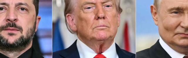 Трамп созвонился с Путиным перед встречей с Зеленским