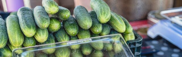 СРАВНИМ ЦЕНЫ НА РЫНКАХ | Эстонские огурцы и ранний картофель почти наполовину дороже