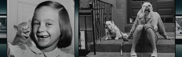 “Любимые питомцы”: ирония повседневности на снимках Уолтера Чандохи, Эллиотта Эрвитта и Сейдж Сойер