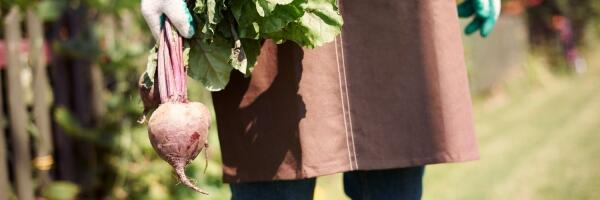 О чем пишет пресса: борьба с неплательщиками алиментов, овощеводы терпят убытки