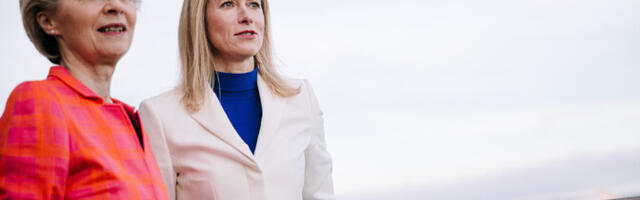 СМИ: несколько правительств ЕС возмущены тем, что фон дер Ляйен выполняет обязанности Каллас